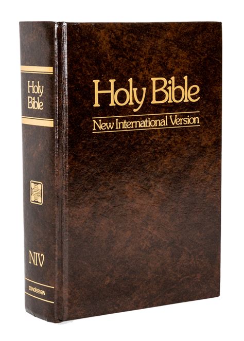 english bible new international version